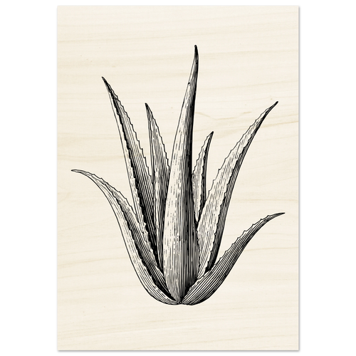 9745711f-9a9b-459a-944c-df198c0cfcf9