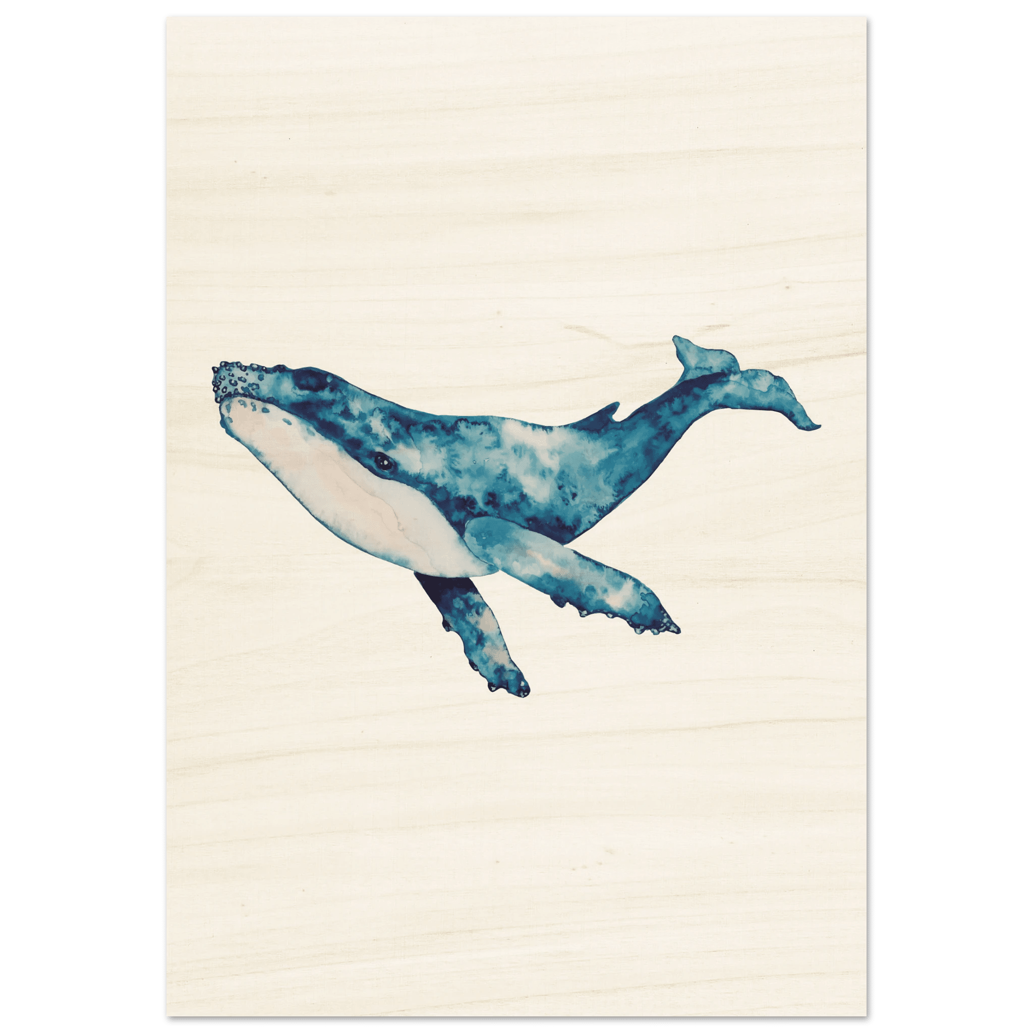 Baleine - ARTIFIYY