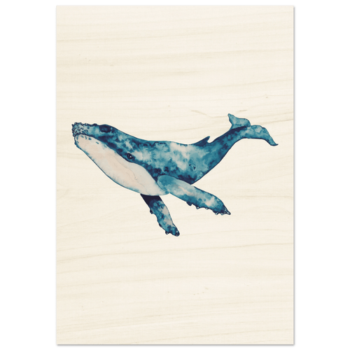Baleine - ARTIFIYY