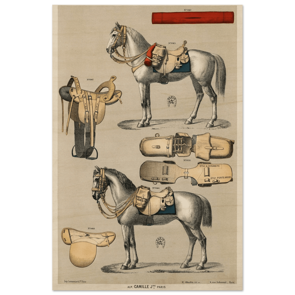 Military and Utilitarian Saddlery from Alp. Camille Jne, Paris (1890) - ARTIFIYY