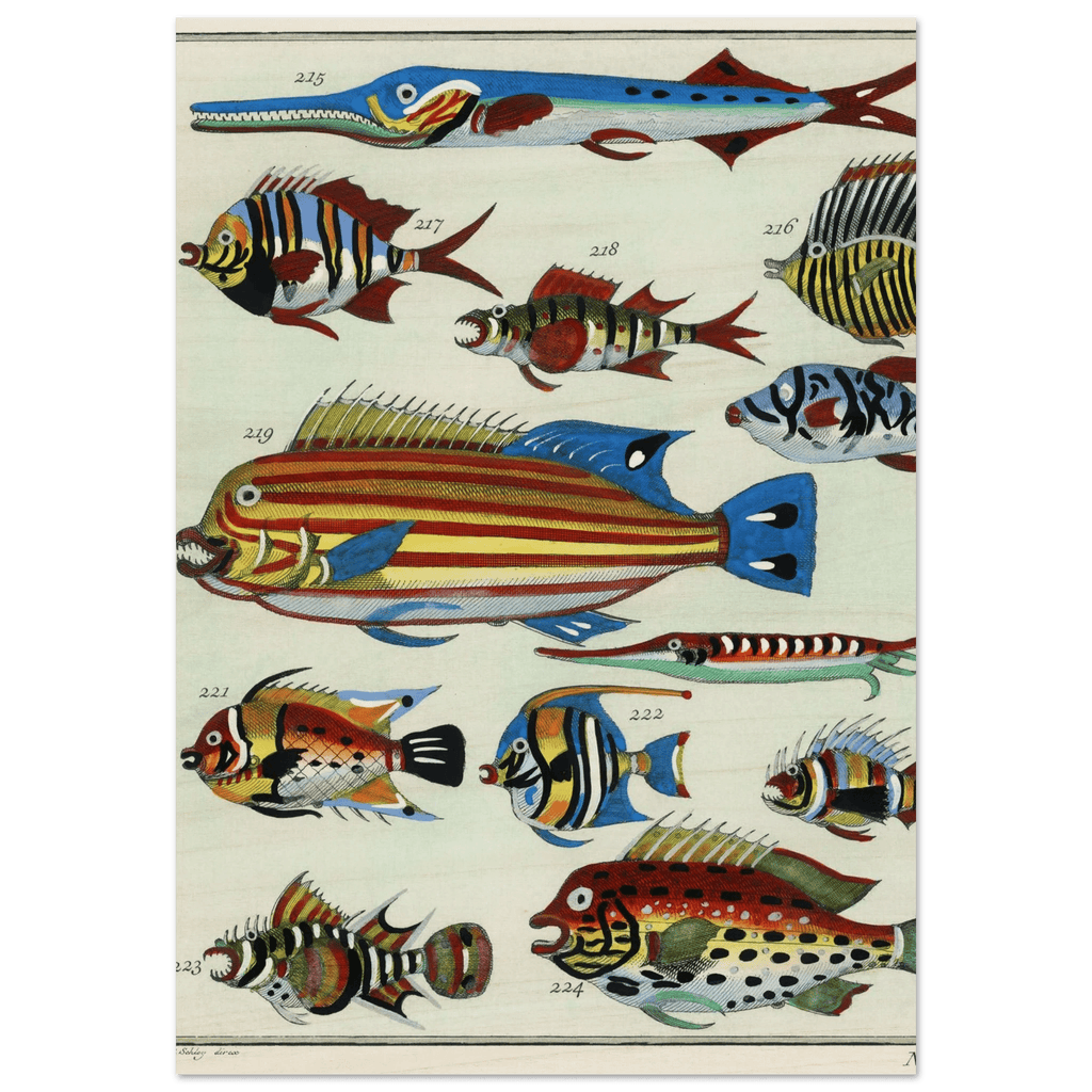 The Explorer’s Menagerie (1747) - ARTIFIYY