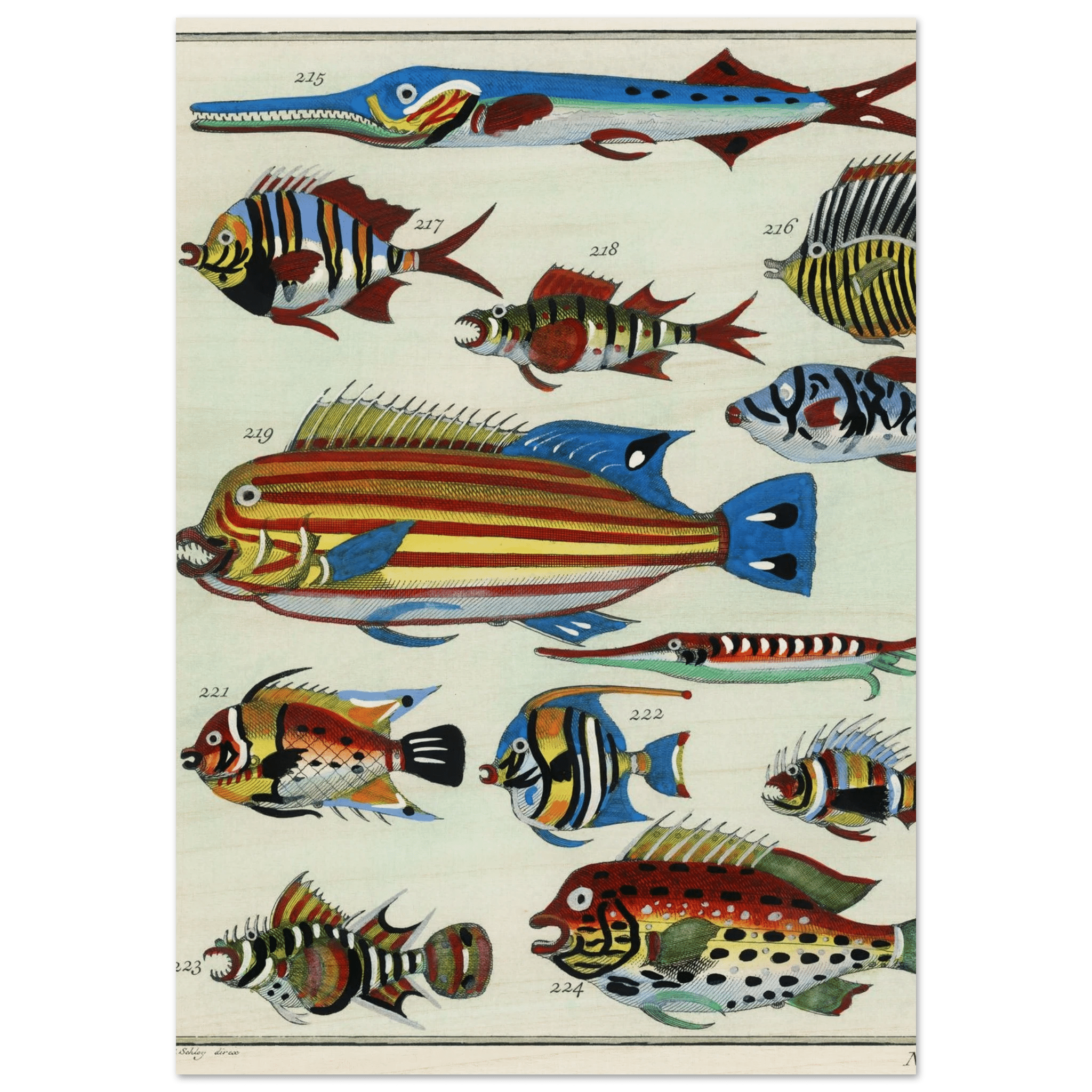 The Explorer’s Menagerie (1747) - ARTIFIYY