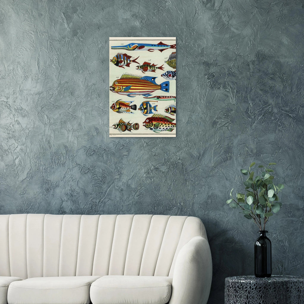 The Explorer’s Menagerie (1747) - ARTIFIYY