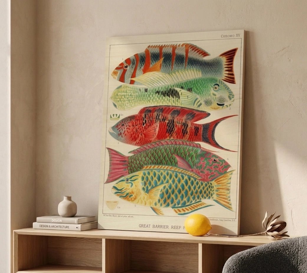 The Radiant Reef: Scientific Artistry from the 19th Century - ARTIFIYY