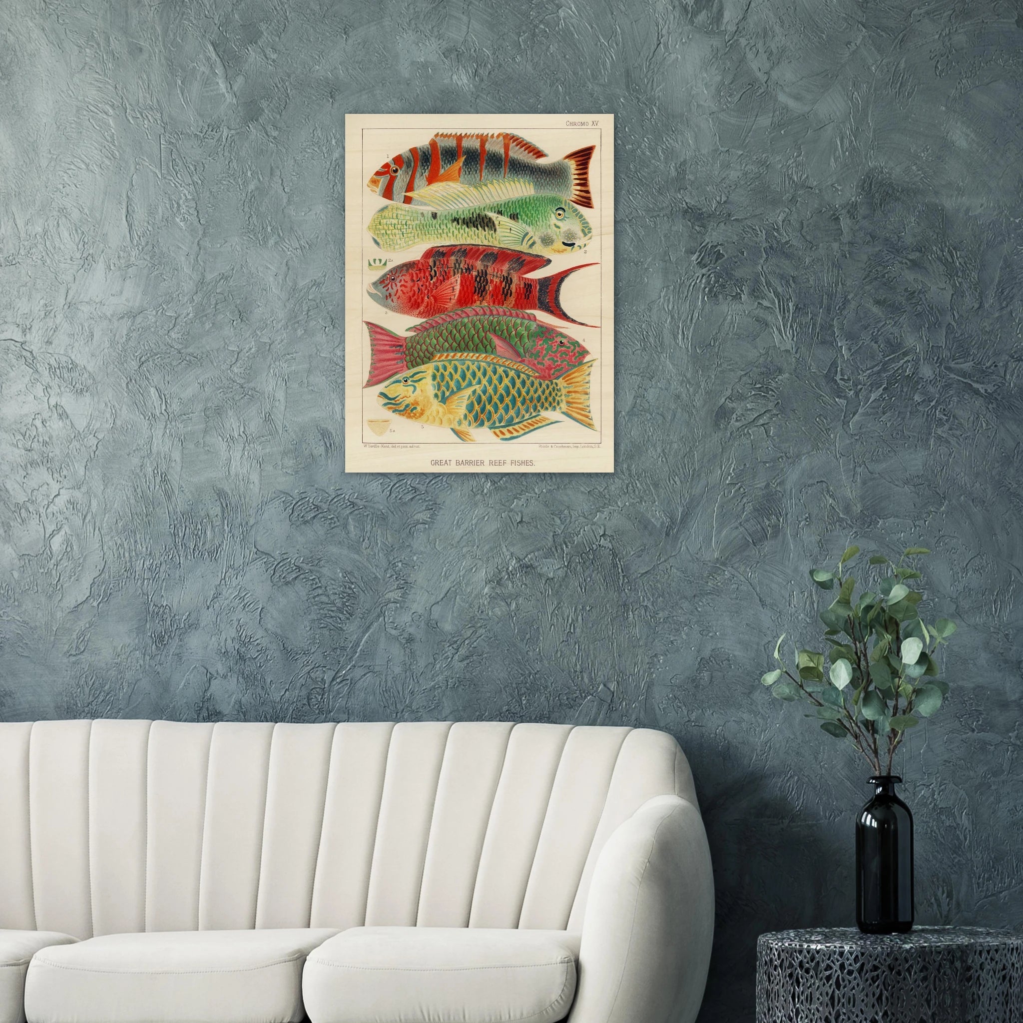 The Radiant Reef: Scientific Artistry from the 19th Century - ARTIFIYY