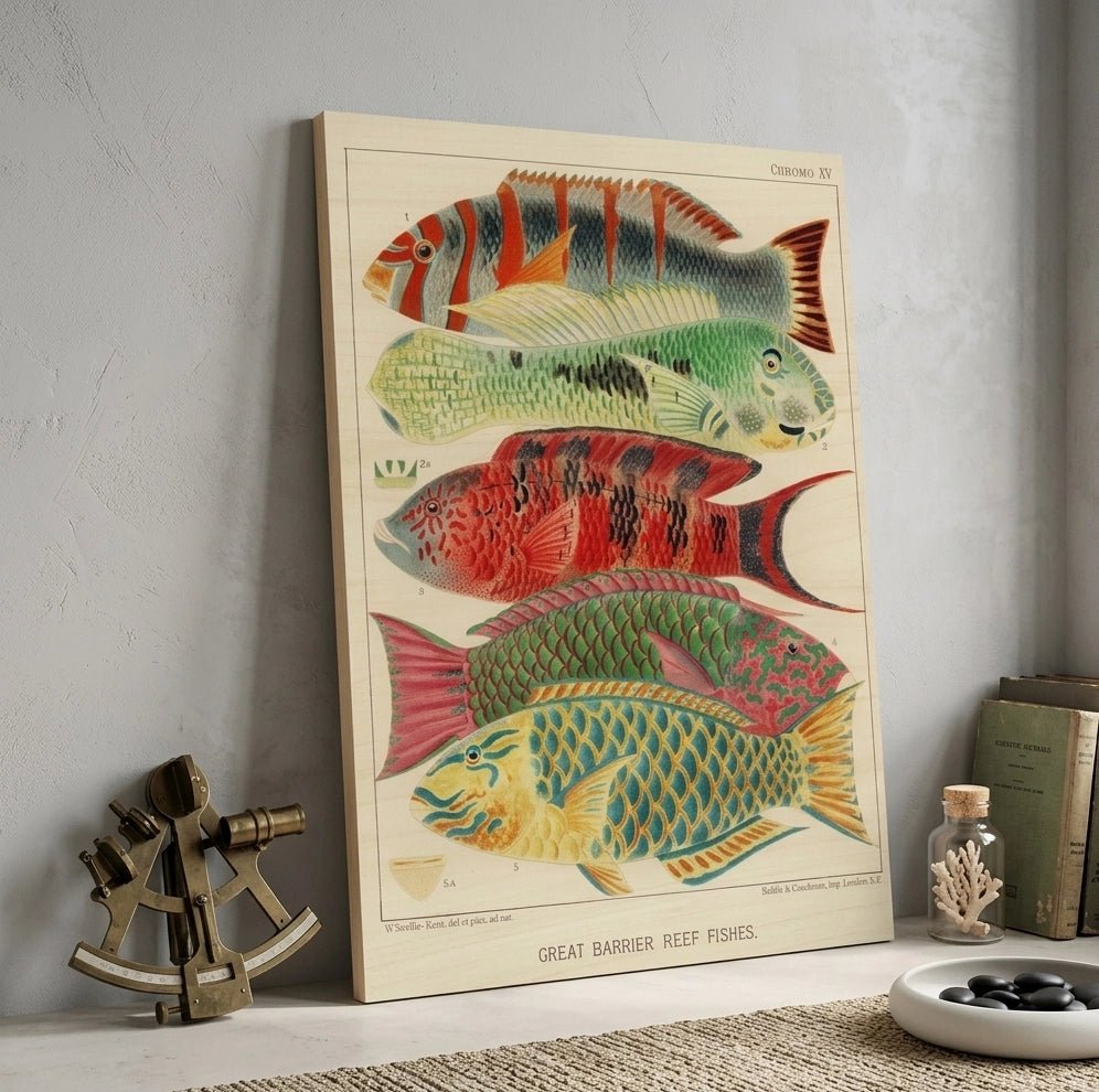 The Radiant Reef: Scientific Artistry from the 19th Century - ARTIFIYY