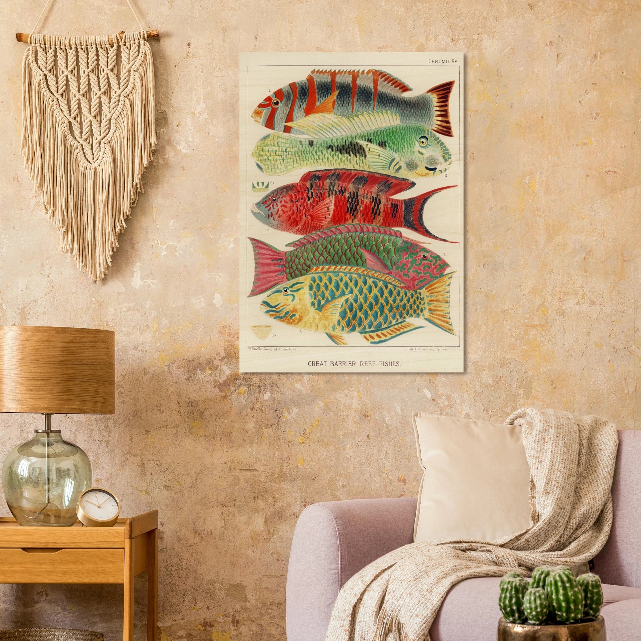 The Radiant Reef: Scientific Artistry from the 19th Century - ARTIFIYY
