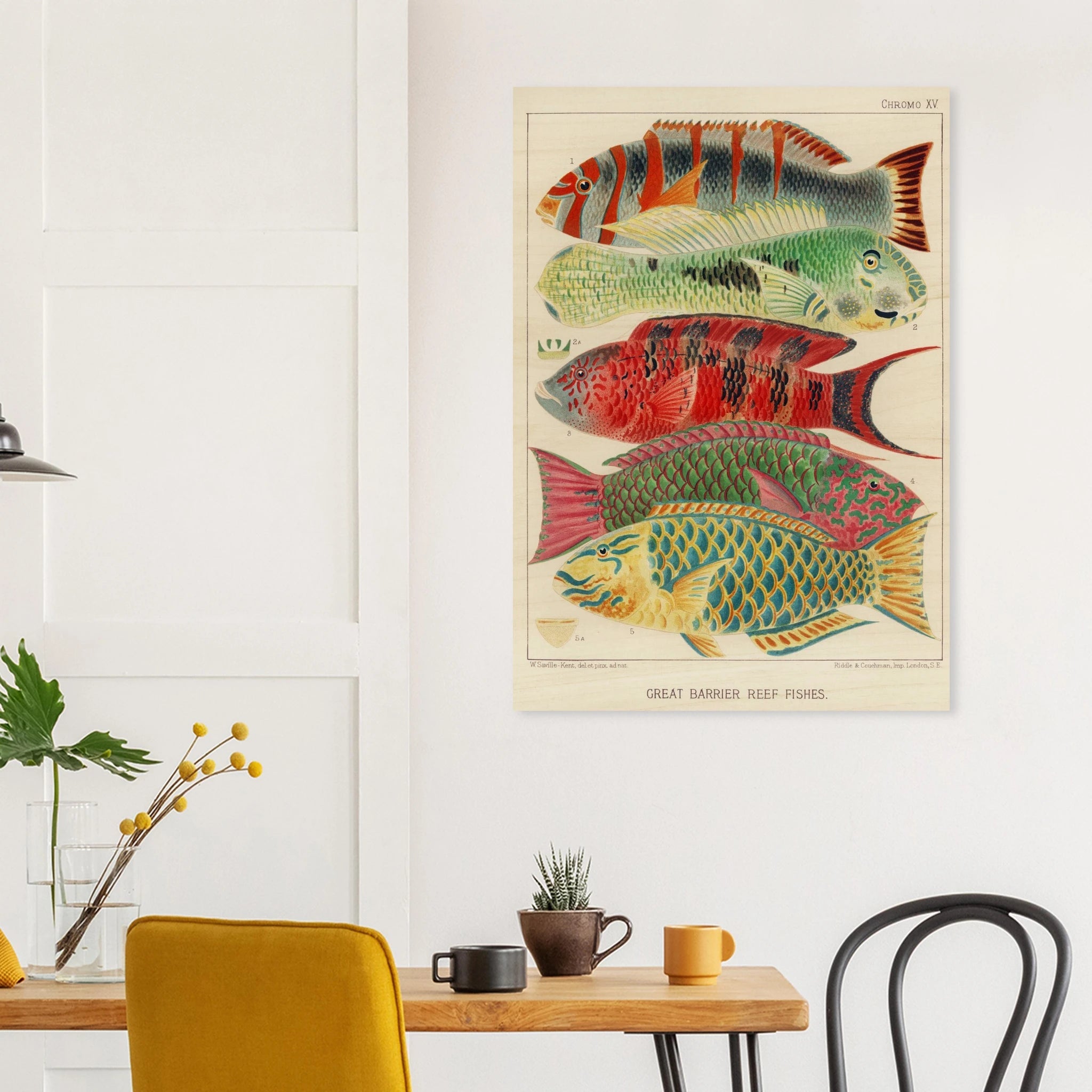 The Radiant Reef: Scientific Artistry from the 19th Century - ARTIFIYY