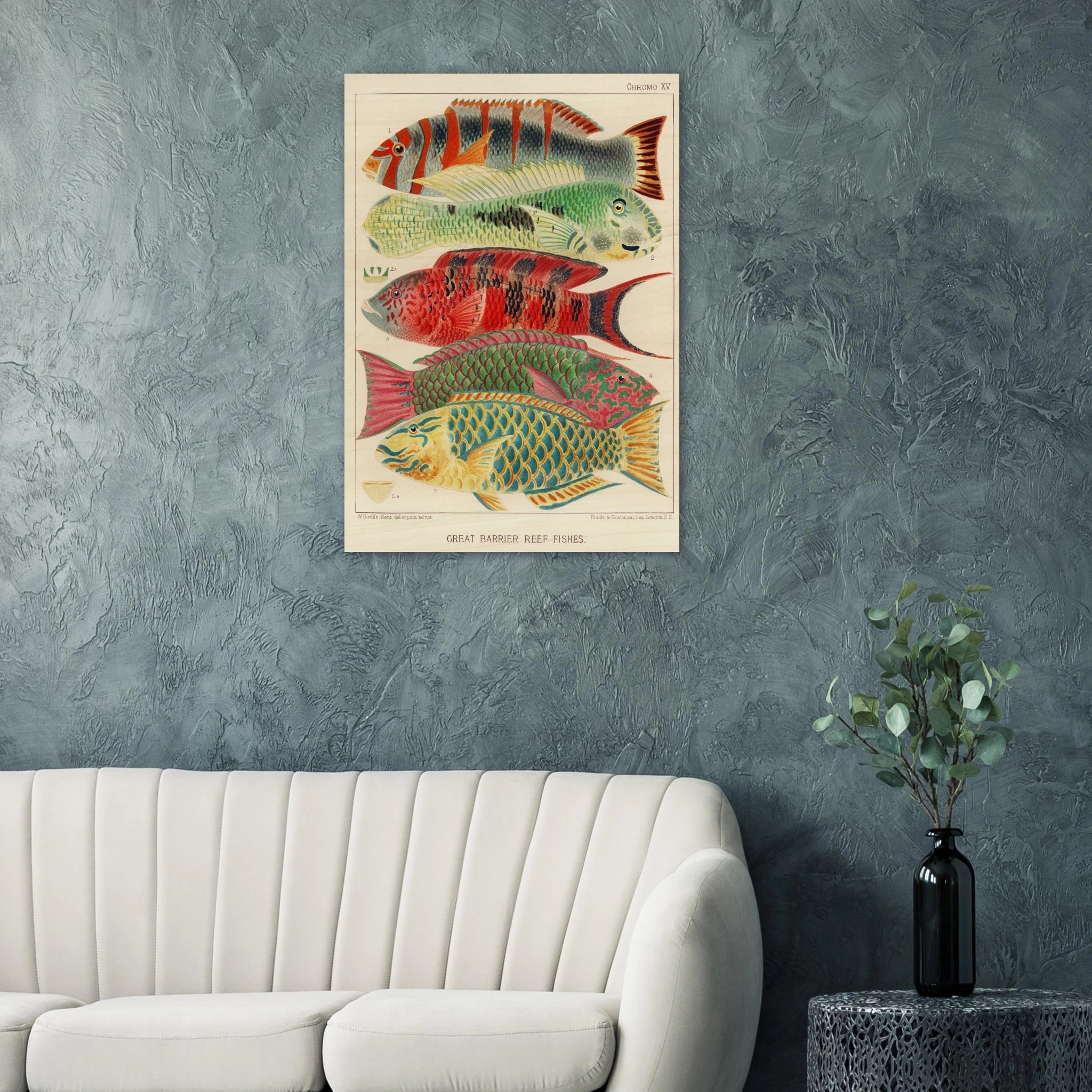 The Radiant Reef: Scientific Artistry from the 19th Century - ARTIFIYY